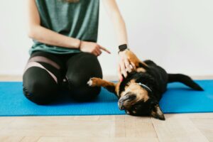 Il puppy yoga è legale?